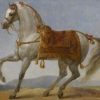 Marengo – Arabic Stallion of Napoleon