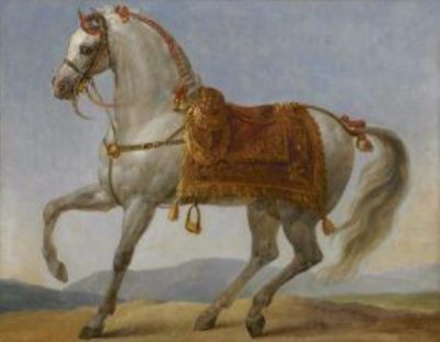 Marengo – Arabic Stallion of Napoleon