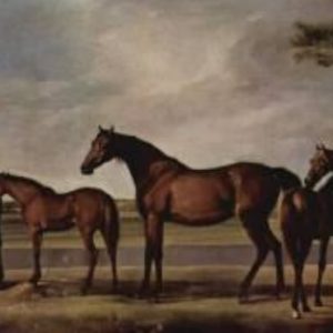 MARES AND FOALS ARE ANXIOUS BEFORE A LOOMING STORM《GEORGE STUBBS 1724-1806》