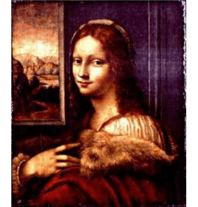 Portrait of a young lady with a fur - Da Vinci