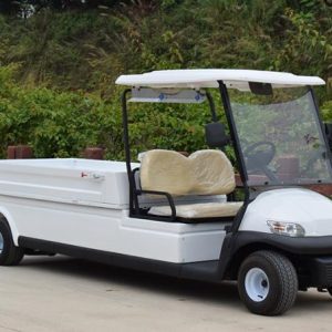 ELECTRIC GOLF CARTS WITH UTILITY CARGO CURTIS 350A CONTROLLER