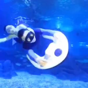 underwater-scooter-1